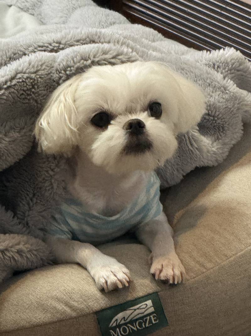 [잡담] 가나디 자랑하고 가도 돼? | 인스티즈