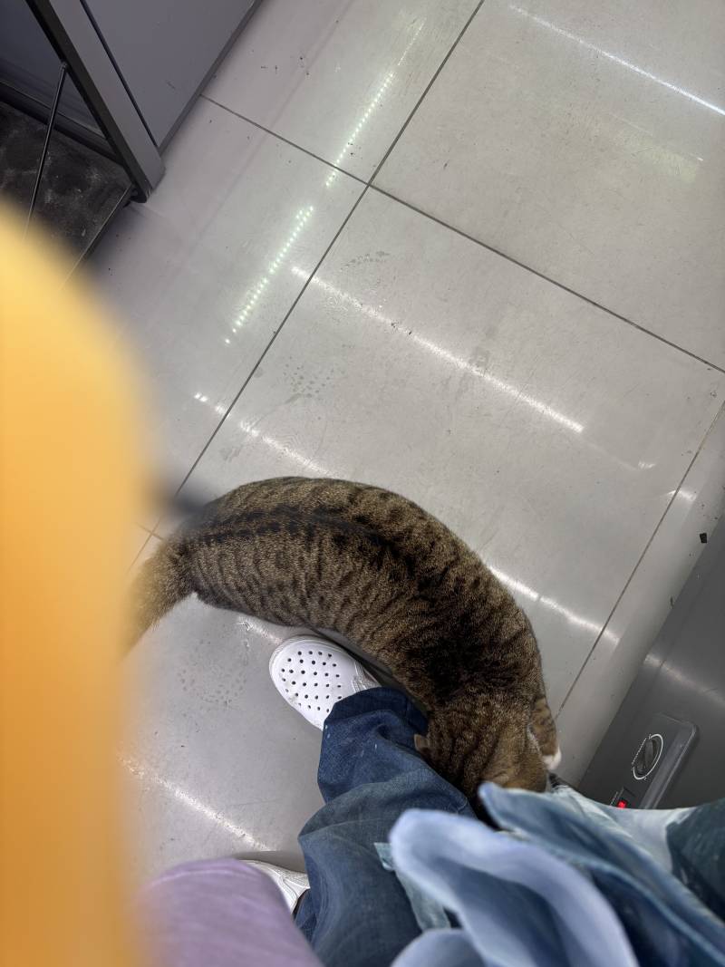 [잡담] 왜나따라다님? | 인스티즈