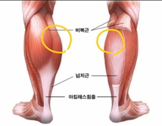 [잡담] 나 요즘 걷는게 너무 힘든데 여기가 아픈건 이유가 뭘까 | 인스티즈
