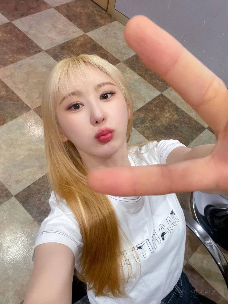 오랜만에 다시 금발했다는 이채연 근황.jpg | 인스티즈