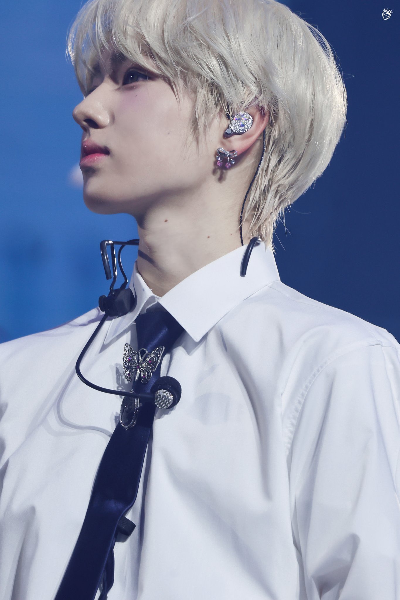 [잡담] 본진 최애는 무줙건 흑발 바라기인 사람이었는데 사쿠야는 아님 | 인스티즈