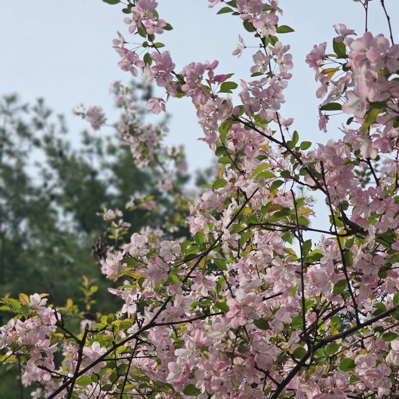 [잡담] 우리 동네 도서관 앞인데... | 인스티즈