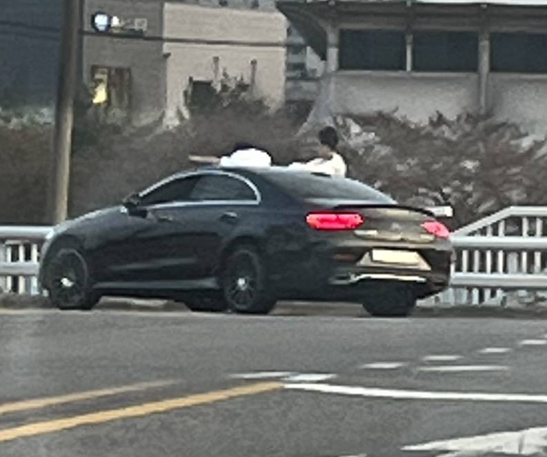 [잡담] 자동차 창틀에 앉아서 가도 됨?? | 인스티즈