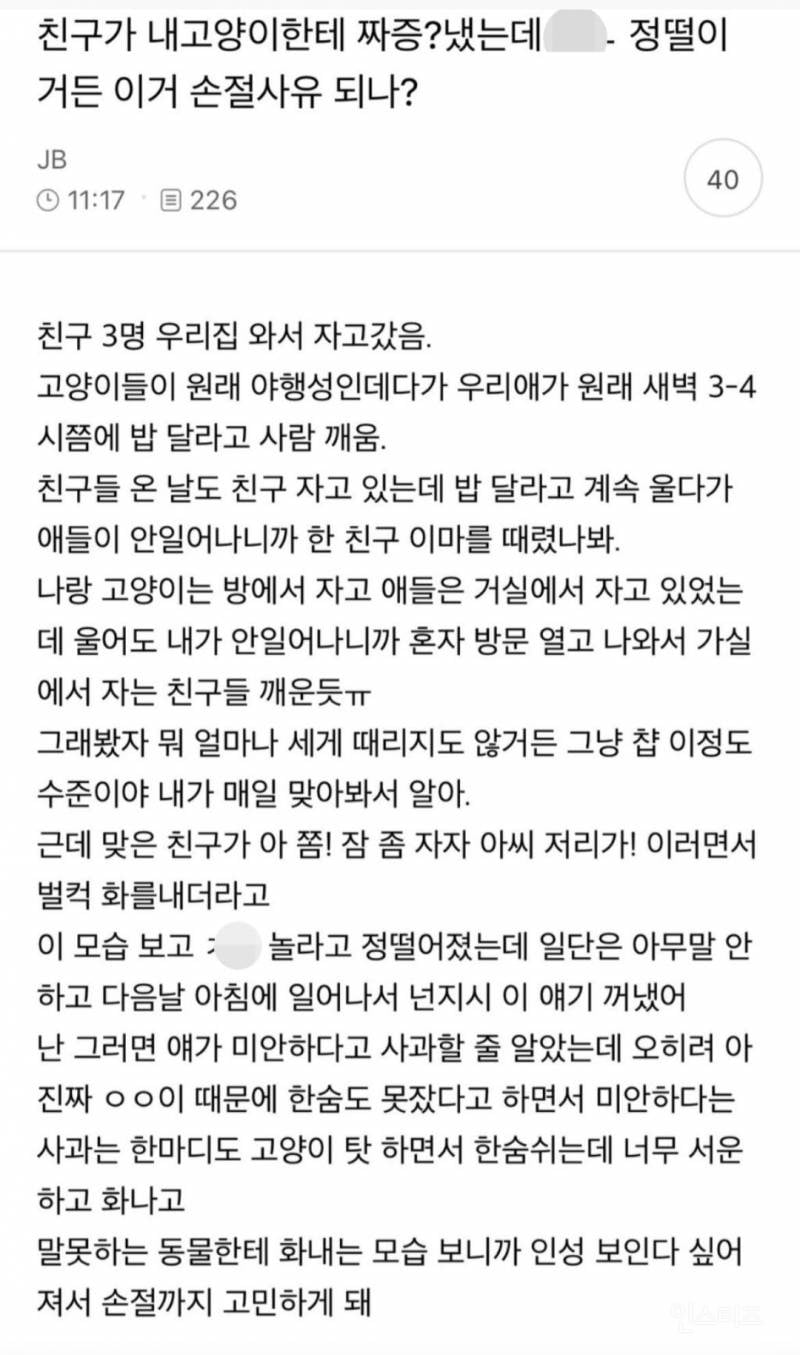 친구가 내 고양이에게 짜증냈는데 정떨이거든 이거 손절사유 되나? | 인스티즈