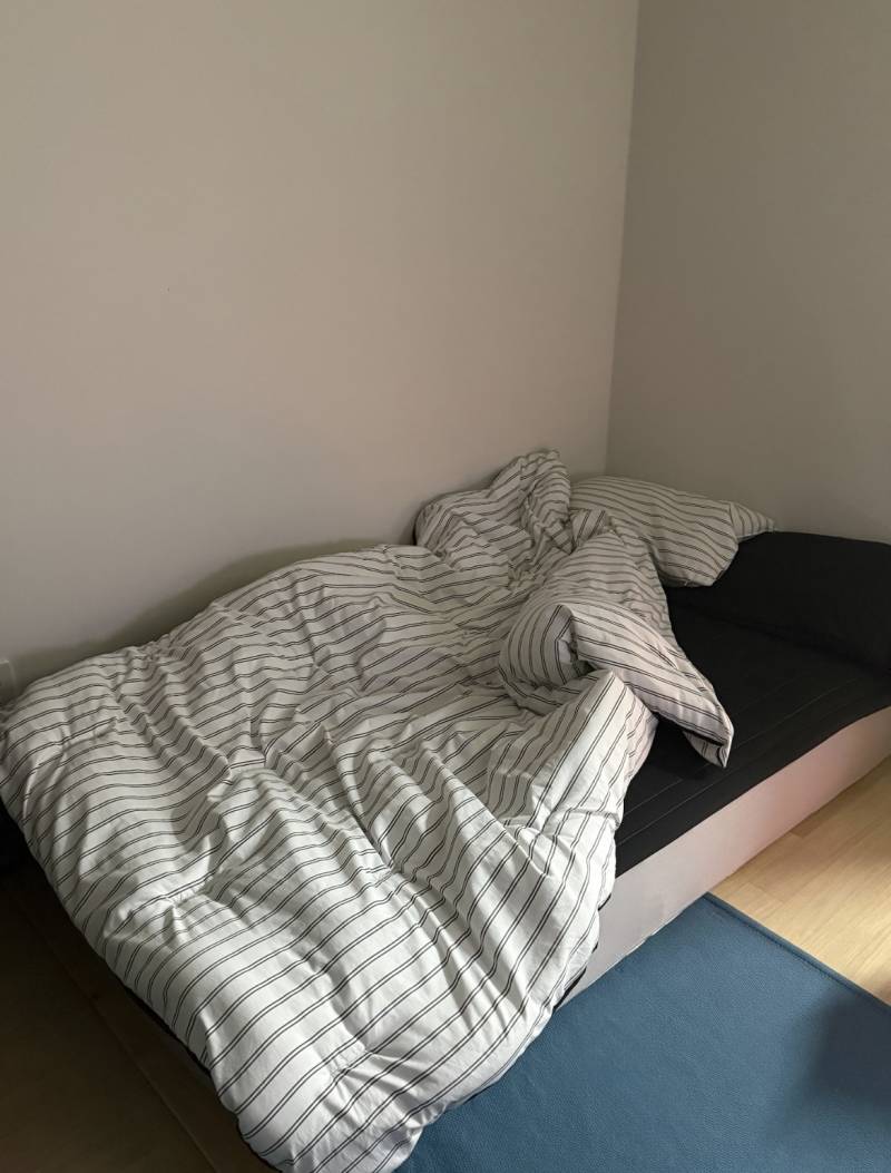 [잡담] 자취생 이불 골라줘!!! 111222 | 인스티즈