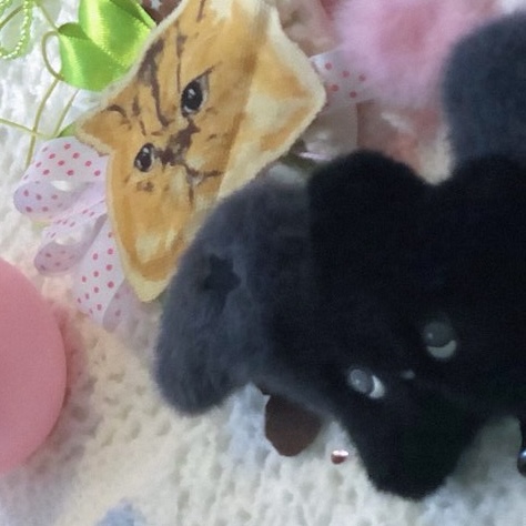 [잡담] 위시 티저에 등장한 위츄 흑츄 백츄 실물컷 모음 | 인스티즈