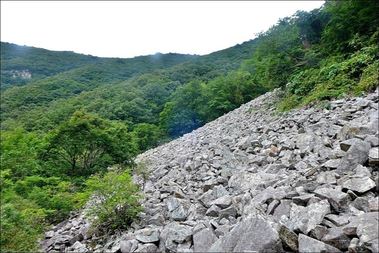 팔자에 맞는 직업이 있다고 생각하게 된 삼촌의 이야기 | 인스티즈