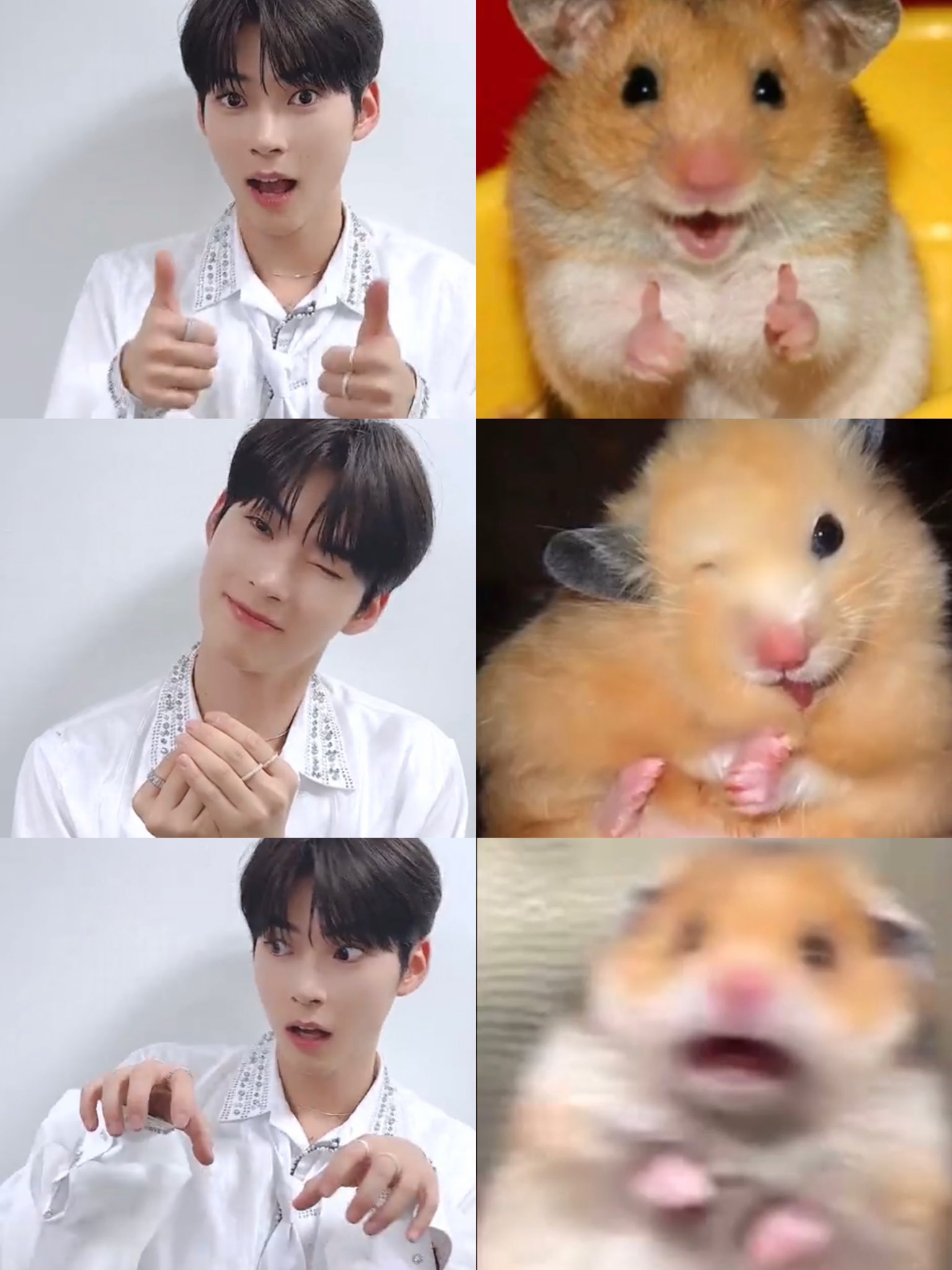 [잡담] 햄스터의날이니까 성한빈 | 인스티즈