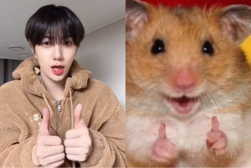 어떻게 사람이 이렇게 햄스터 그 자체지 🐹 | 인스티즈
