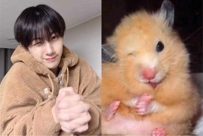 어떻게 사람이 이렇게 햄스터 그 자체지 🐹 | 인스티즈