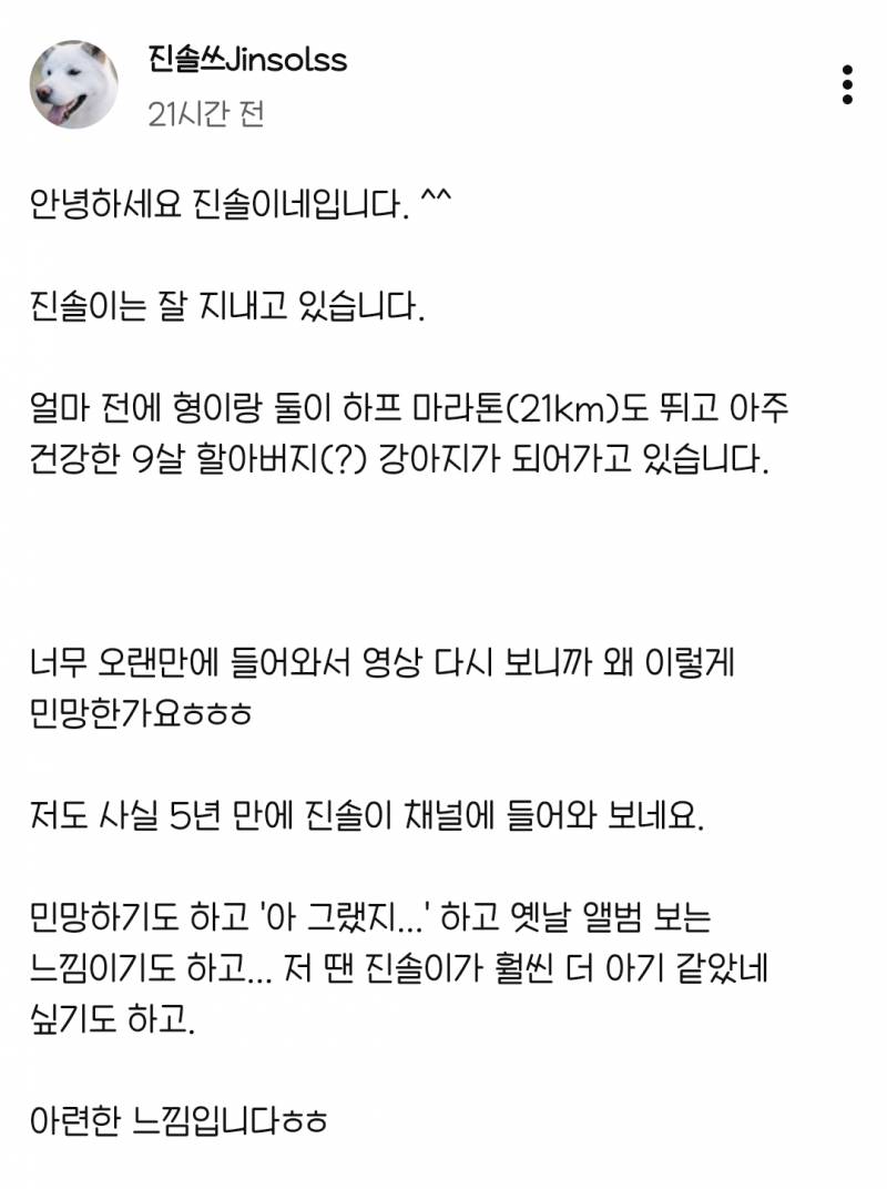 [잡담] 헐 내가 보는 강아지 유튜버 5년만에 근황 소식 올라옴 🥺 | 인스티즈