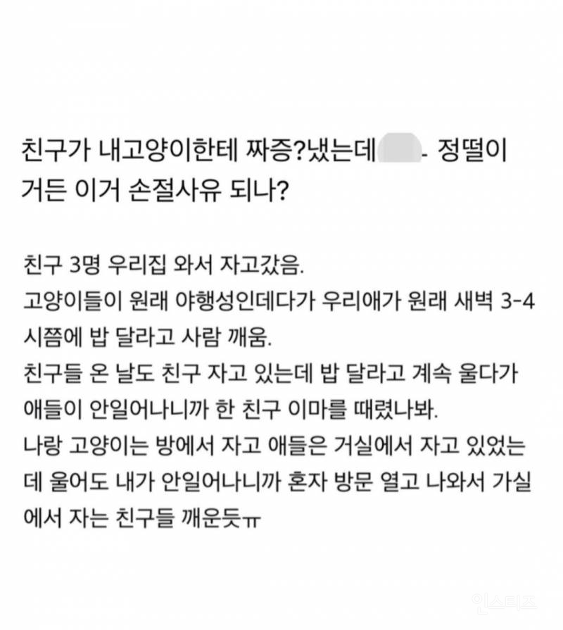 친구가 고양이한테 짜증냈는데 정떨어진다는 사람 | 인스티즈
