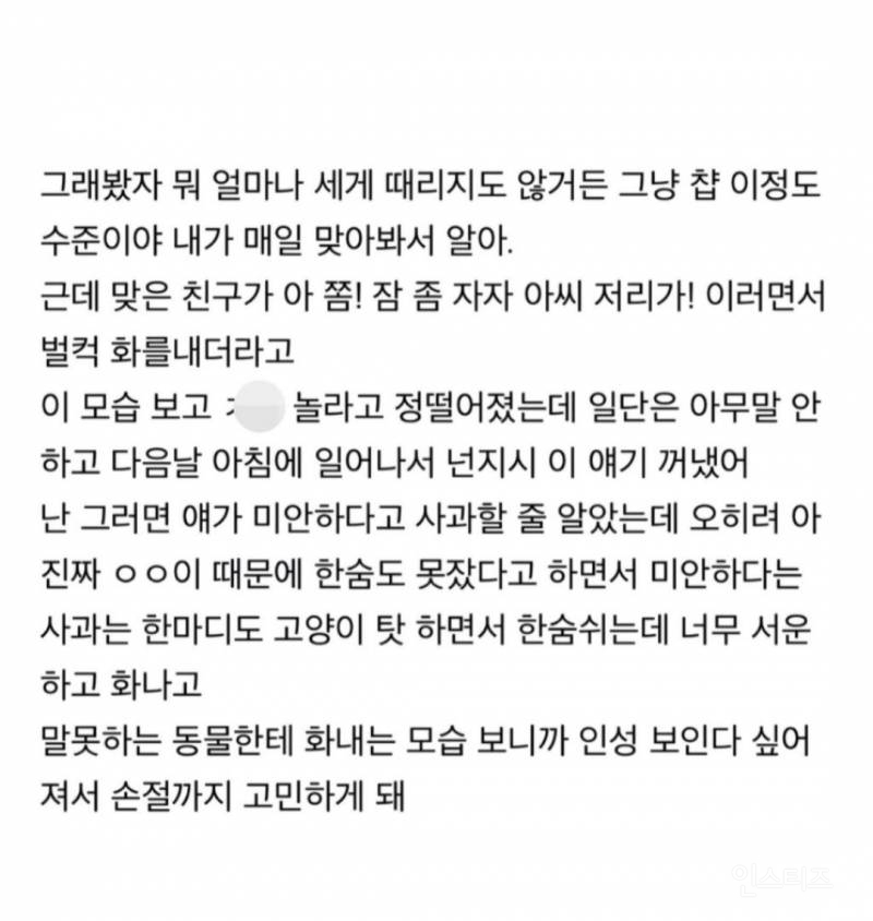 친구가 고양이한테 짜증냈는데 정떨어진다는 사람 | 인스티즈