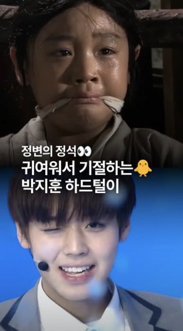 [잡담] 박지훈 진짜 잘컸다ㅋㅋㅋㅋㅋㅋ | 인스티즈