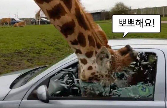 [잡담] 아니 이분 누구보다 뽀뽀컨텐츠에 진심이신 것 같은데 | 인스티즈