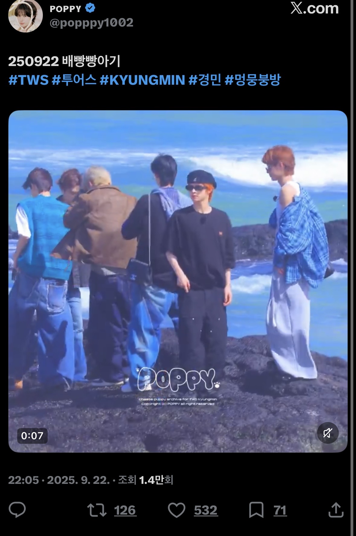 [마플] 샤이들아 꼭 보고 가줘 | 인스티즈