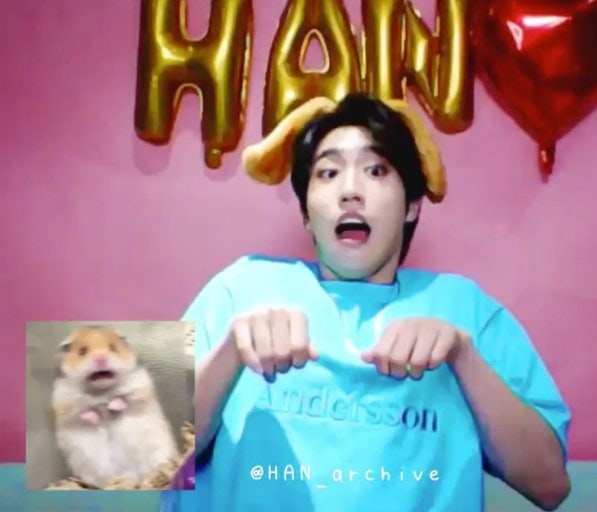 [잡담] 내 인간햄스터 보고가 | 인스티즈