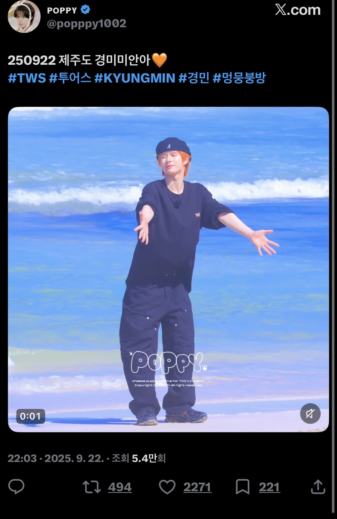 [마플] 샤이들아 꼭 보고 가줘 | 인스티즈