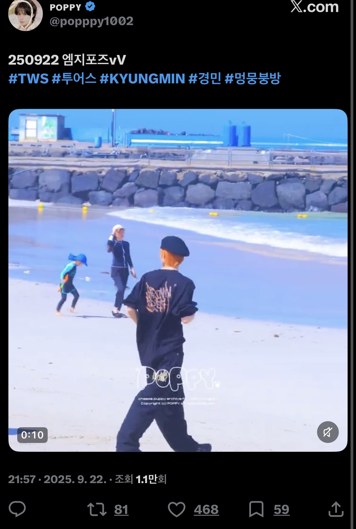 [마플] 샤이들아 꼭 보고 가줘 | 인스티즈