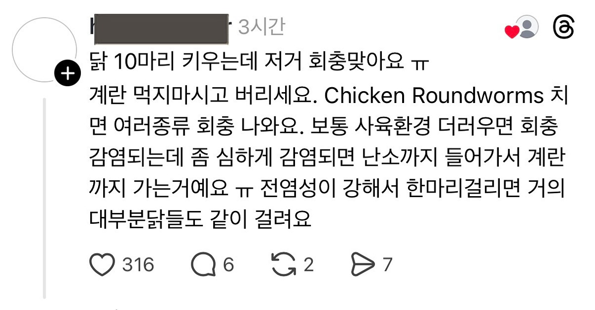 [잡담] 계란에서 나온것...(혐오주의) | 인스티즈