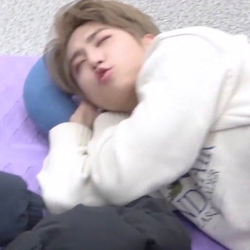 [잡담] 내 인간햄스터 보고가 | 인스티즈