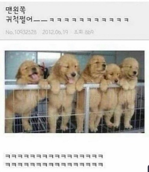 [잡담] 맨왼쪽 귀척쩔어 ㅋㅋㅋ | 인스티즈