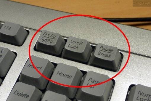 [잡담] 키보드 이거 쓰는 사람 진짜 있어?? | 인스티즈