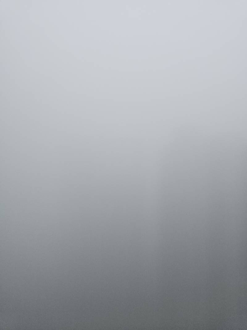 [잡담] 와..밖에 영화 미스트인줄... 괴물 튀어나올것같음 | 인스티즈