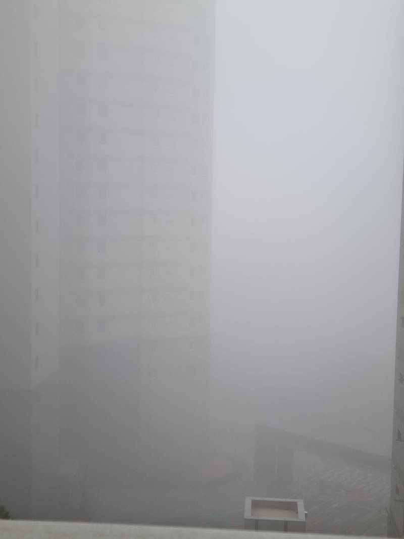 [잡담] 🌫안개 미쳤다🌫 | 인스티즈