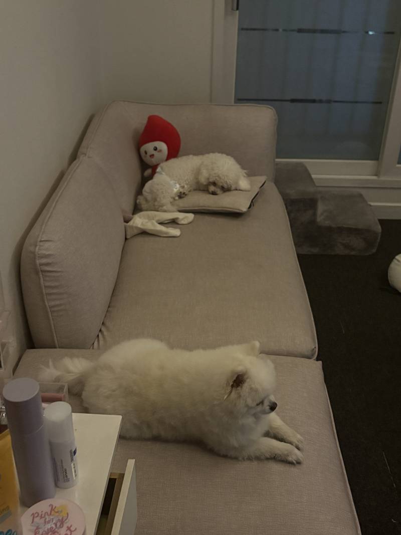 [잡담] 너네가 얘들 거실에서 잘거냐고 물어봐바 | 인스티즈