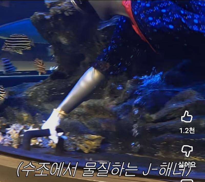 물질하는 J-해녀보러 식당갔다가 생긴일.jpg | 인스티즈