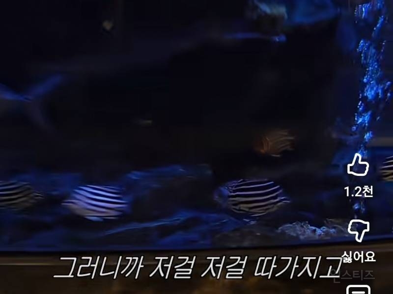 물질하는 J-해녀보러 식당갔다가 생긴일.jpg | 인스티즈