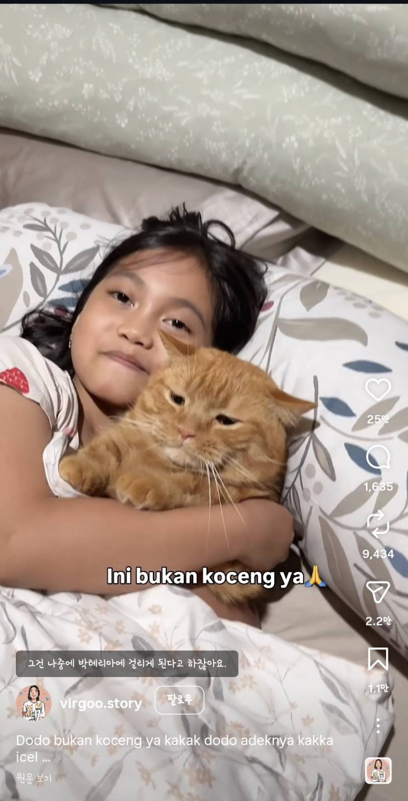 [잡담] 고양이 진짜 억울하게 생겼다 | 인스티즈