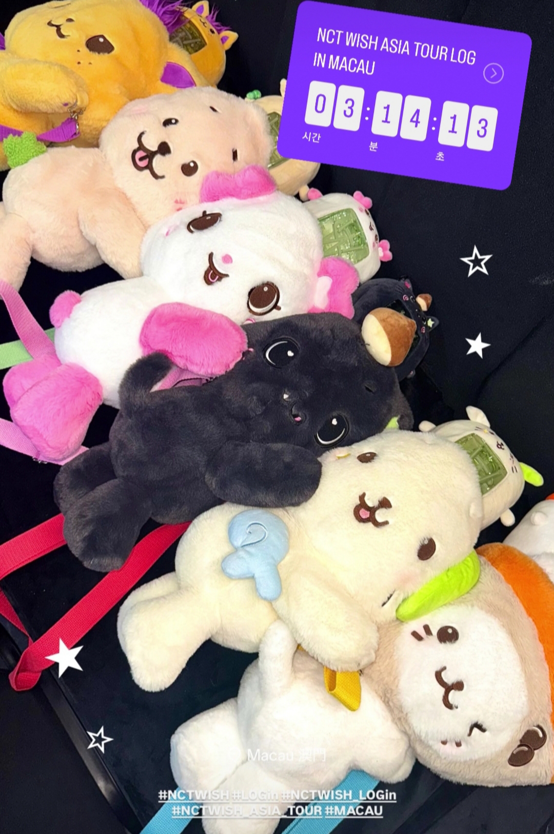 [잡담] 위시 인형 가방들 나란히 이 사진 귀여워 | 인스티즈