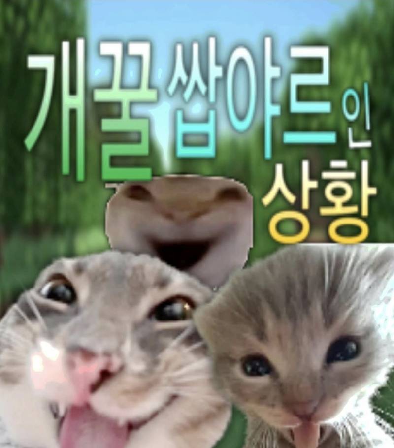 [잡담] 오늘부터 다이어트해야겠다 익인이들 수만큼 달림 | 인스티즈