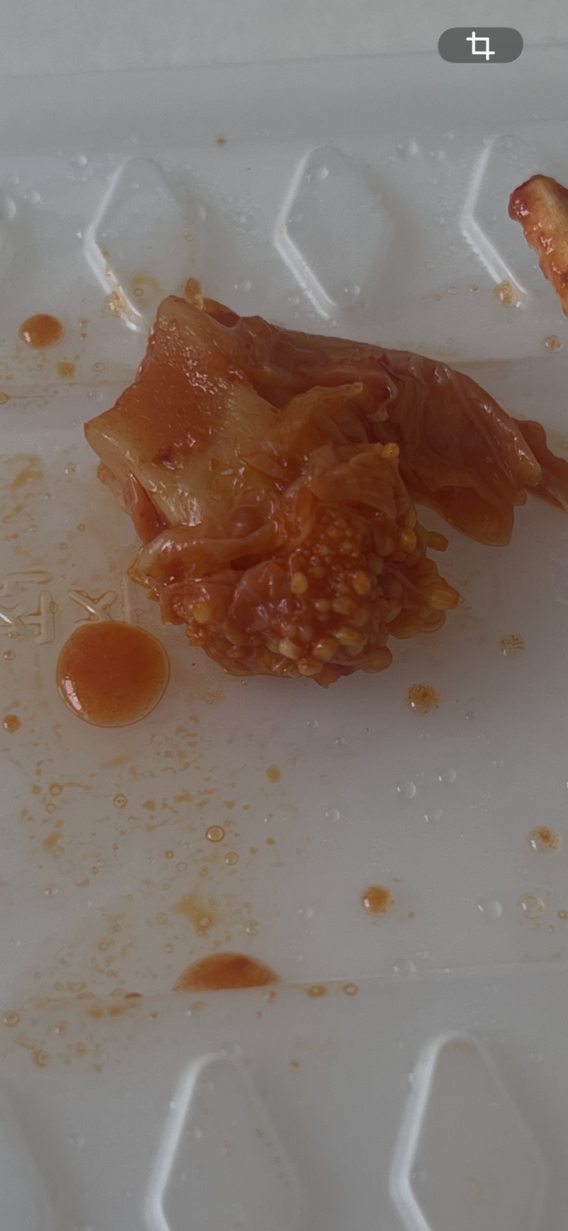 [잡담] 김치찜 시켞는데 김치에서 이게 나왔어 | 인스티즈