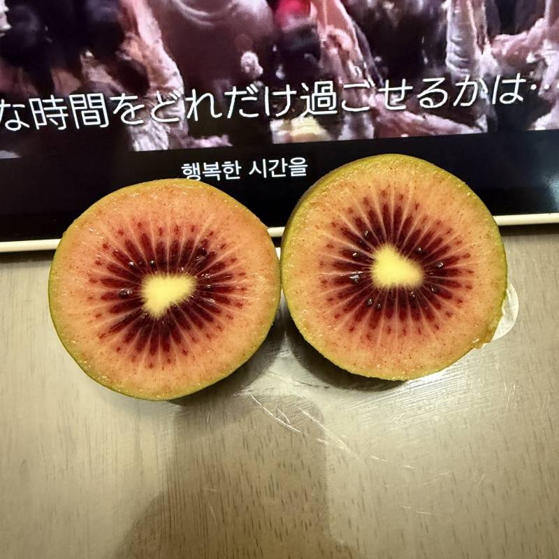 [잡담] 레드키위 사봤덩 | 인스티즈