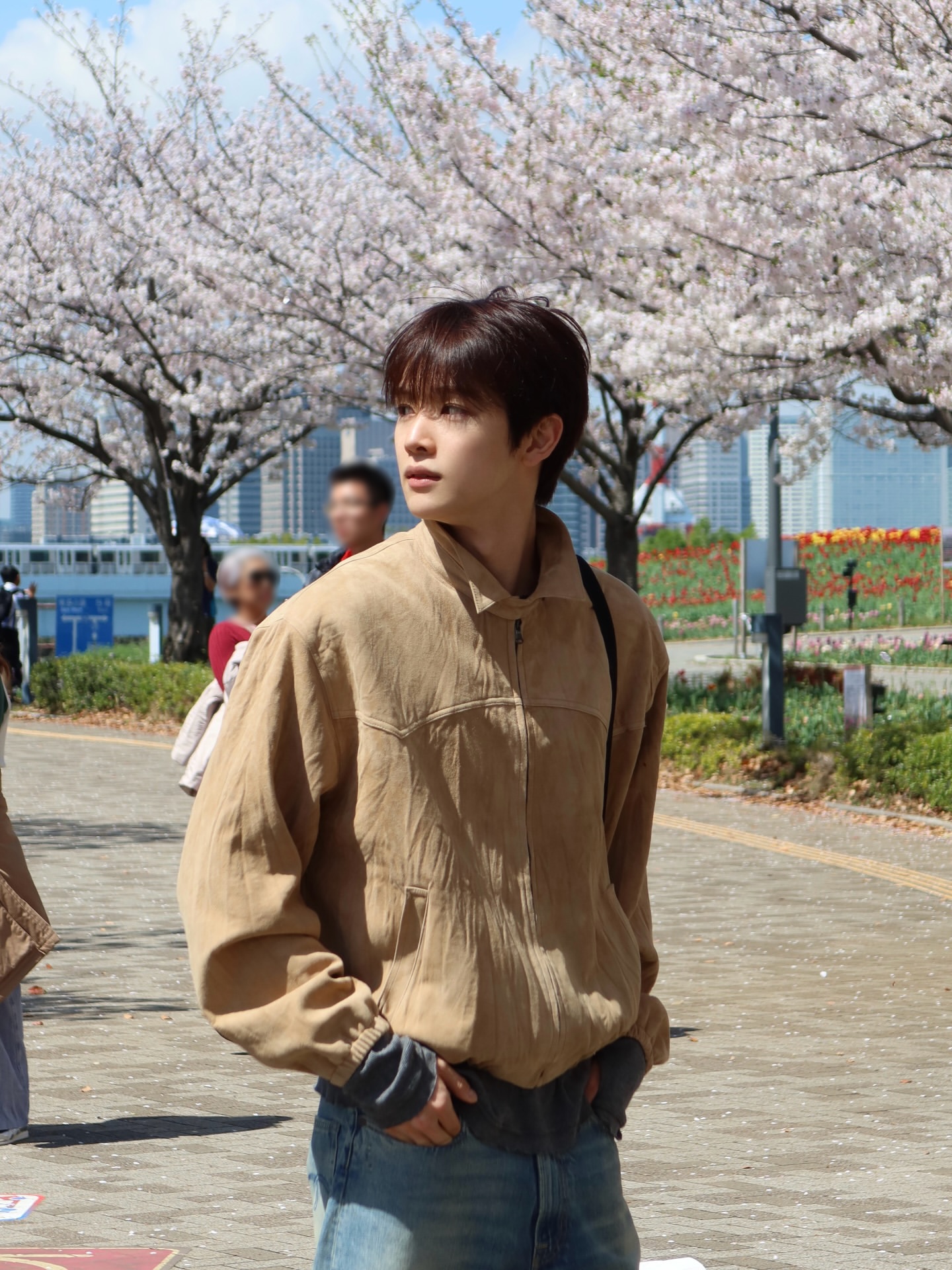 [잡담] 성찬이 이렇게 생겨서 산책 좋아하고 꽃구경 좋아하고 | 인스티즈