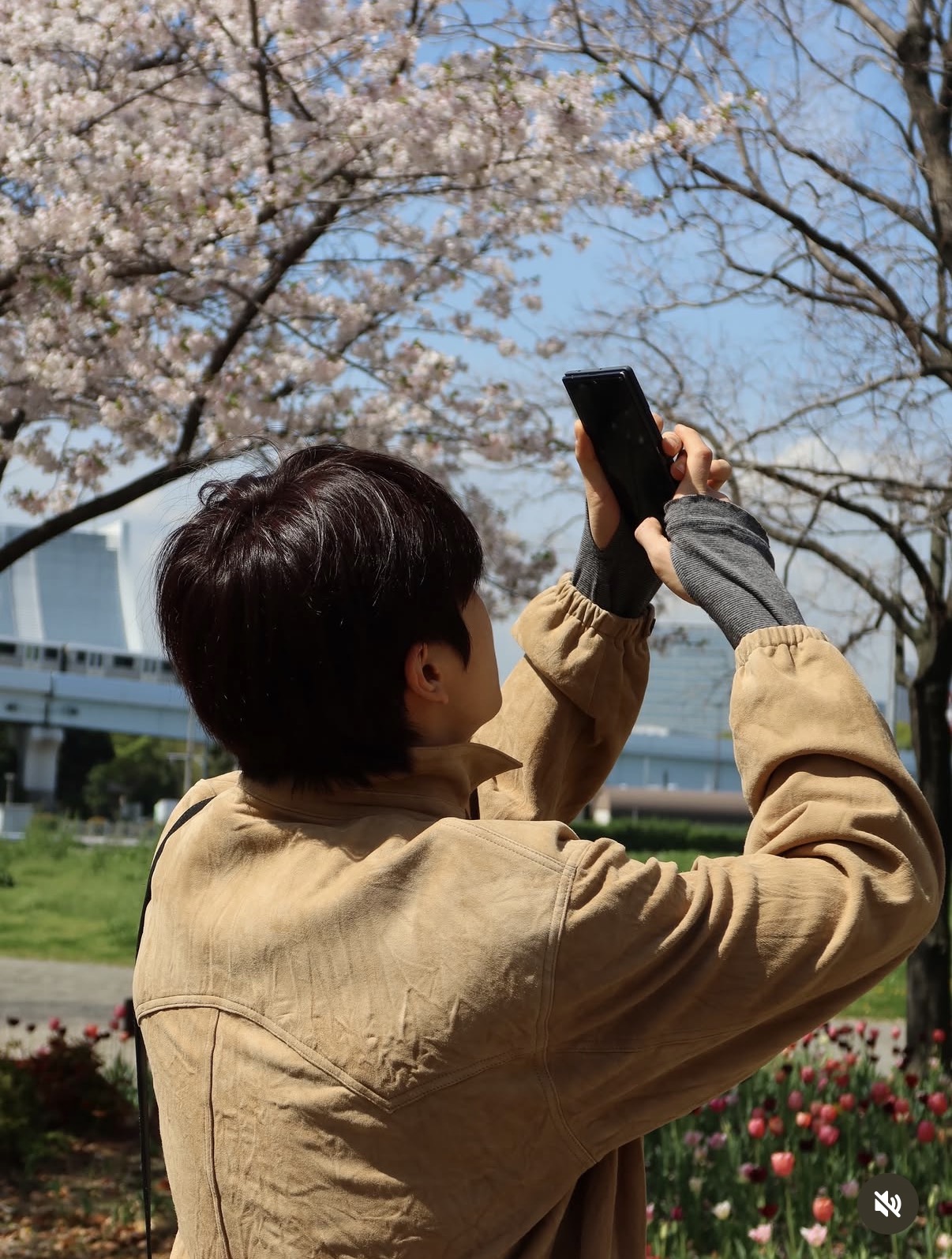 [잡담] 나 오늘 남친이랑 벚꽃 구경하고 왔어!! 어때??🌸🌸 | 인스티즈