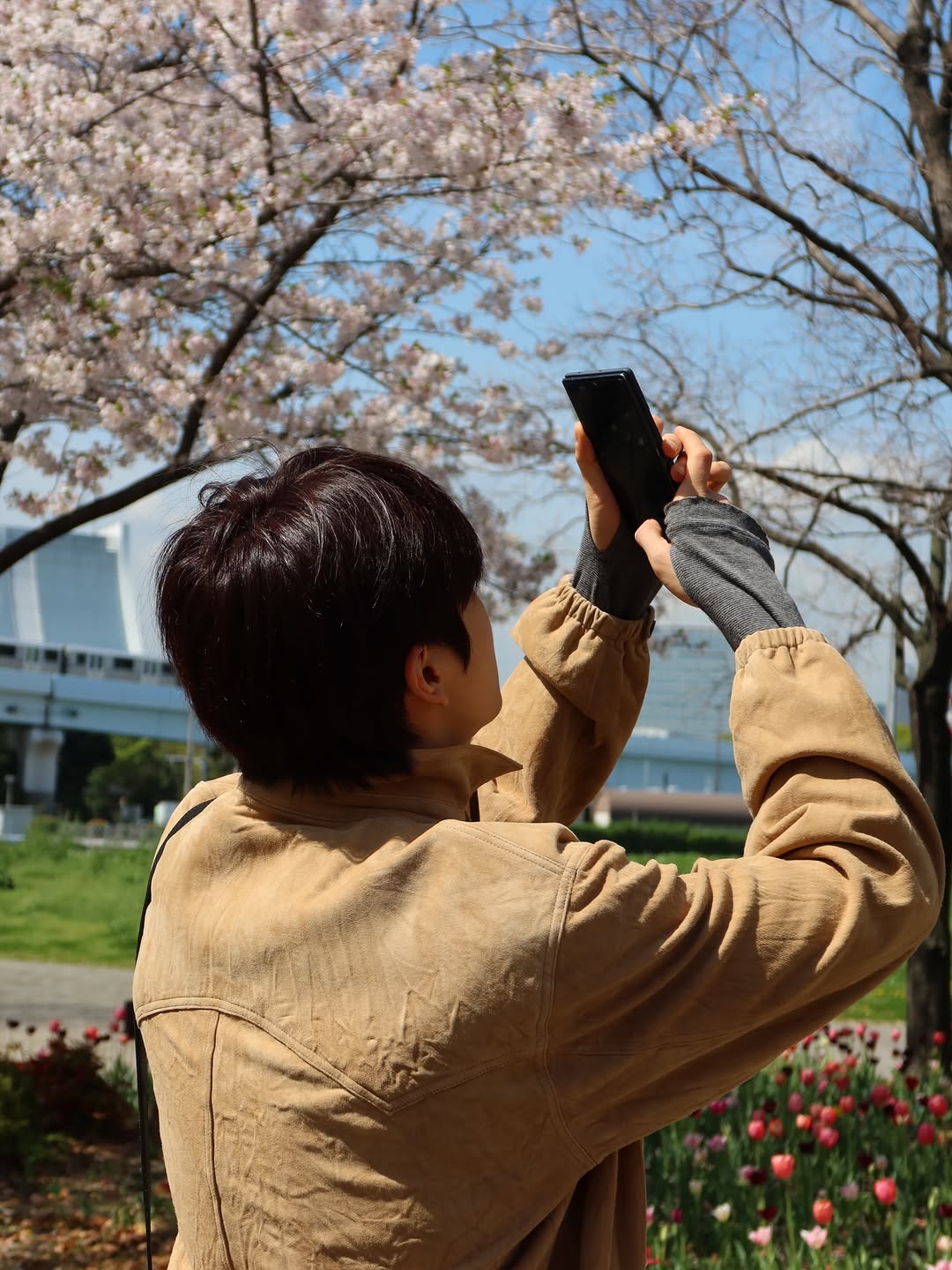 [잡담] 성찬이랑 벚꽃구경한 기분이다 | 인스티즈