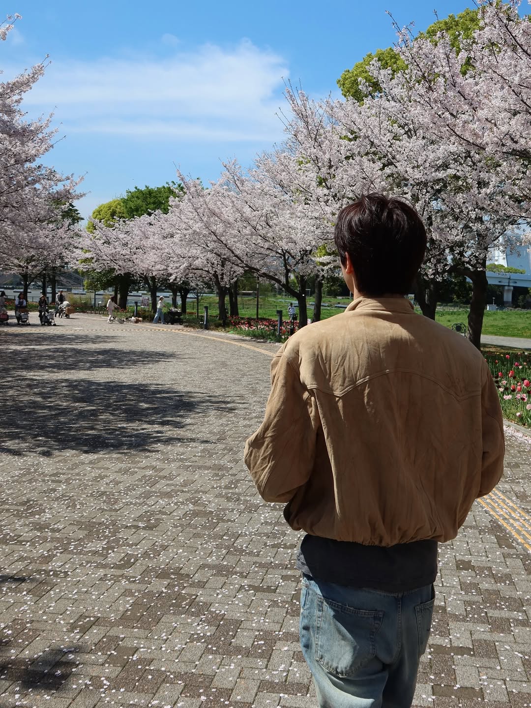 [잡담] 성찬이랑 벚꽃구경한 기분이다 | 인스티즈