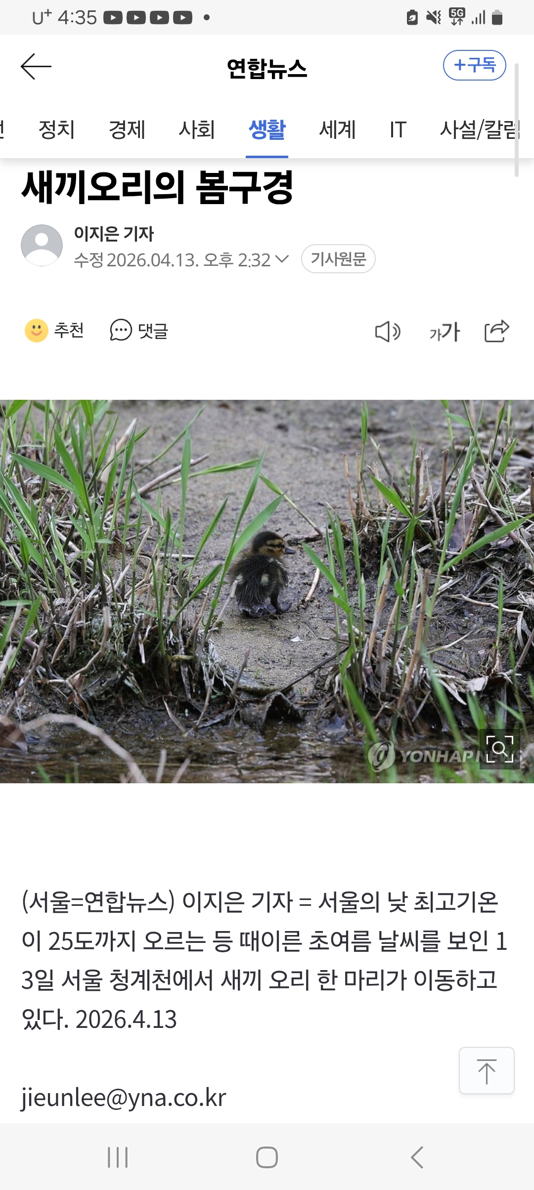 [정보/소식] 새끼오리의 봄구경 | 인스티즈