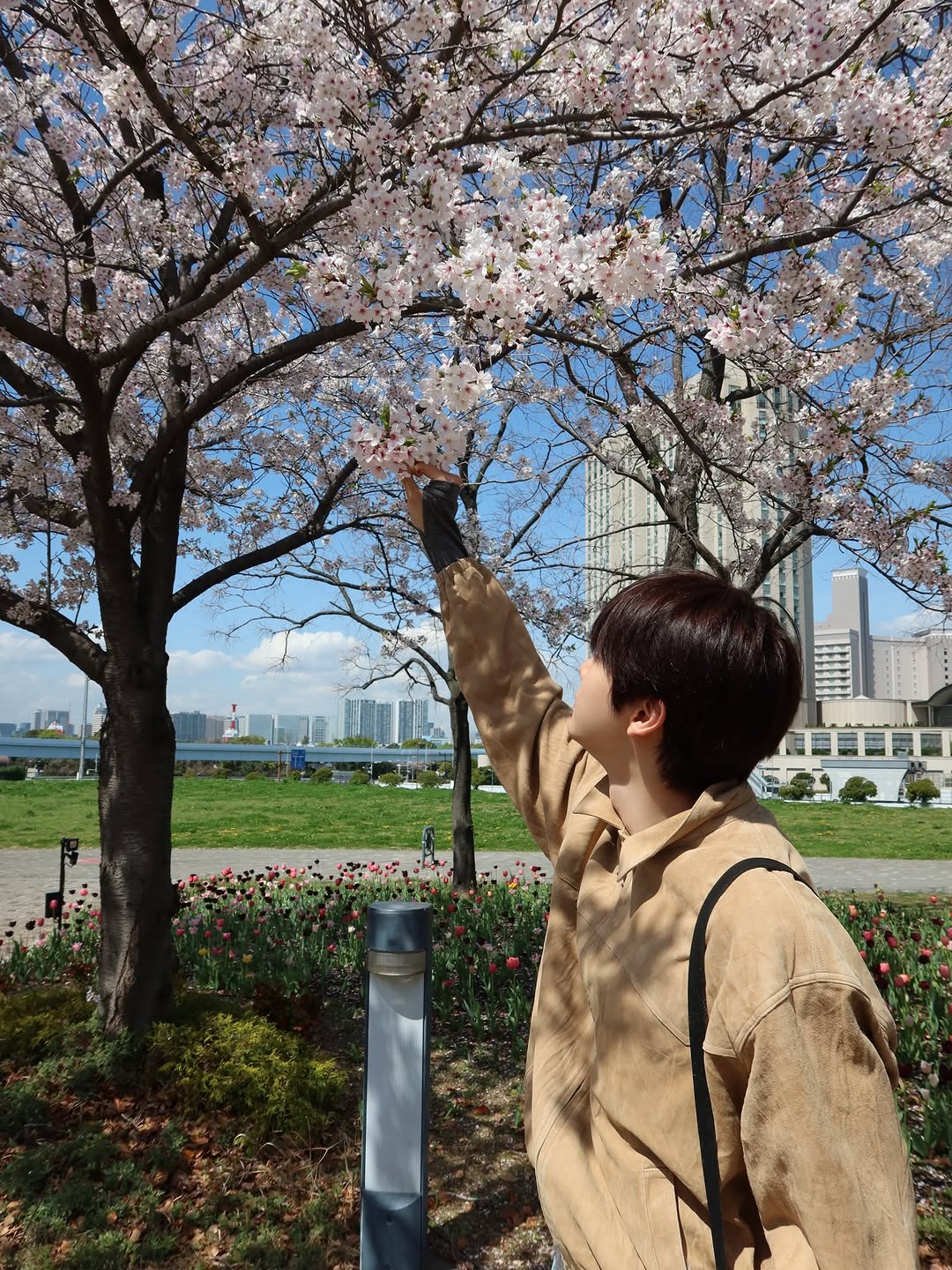 [잡담] 성찬이랑 벚꽃구경한 기분이다 | 인스티즈