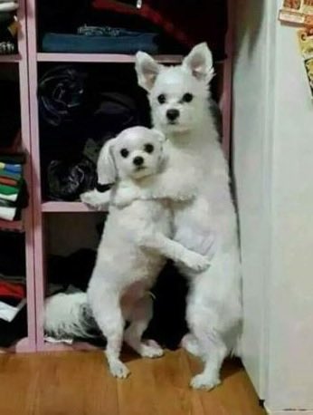 [잡담] 앤더블 자컨 장하오 김규빈 너무 귀엽닼ㅋㅋㅋㅋㅋ | 인스티즈