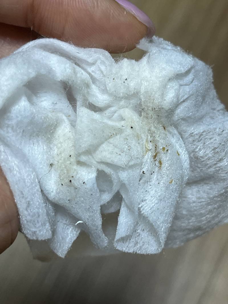 [잡담] 바퀴 박사님들 이거 바퀴 흔적 같나요?? | 인스티즈