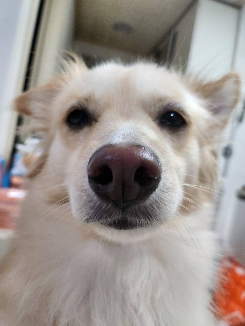 [잡담] 🙁ㅋㅋㅋㅋㅋ하찮은 강지 | 인스티즈