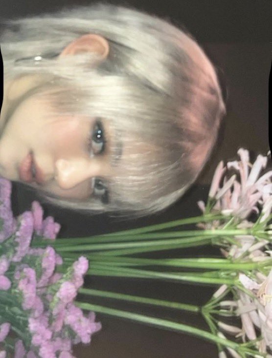 [잡담] 다니엘 얼마 전에 올렸던 사진 속에 꽃말 눈물난다ㅠ | 인스티즈