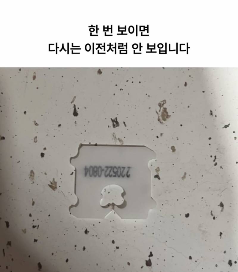 [잡담] 이거 착시현상 한번 빵클립튀어나온 걸로 보이니 다르게안보임 | 인스티즈