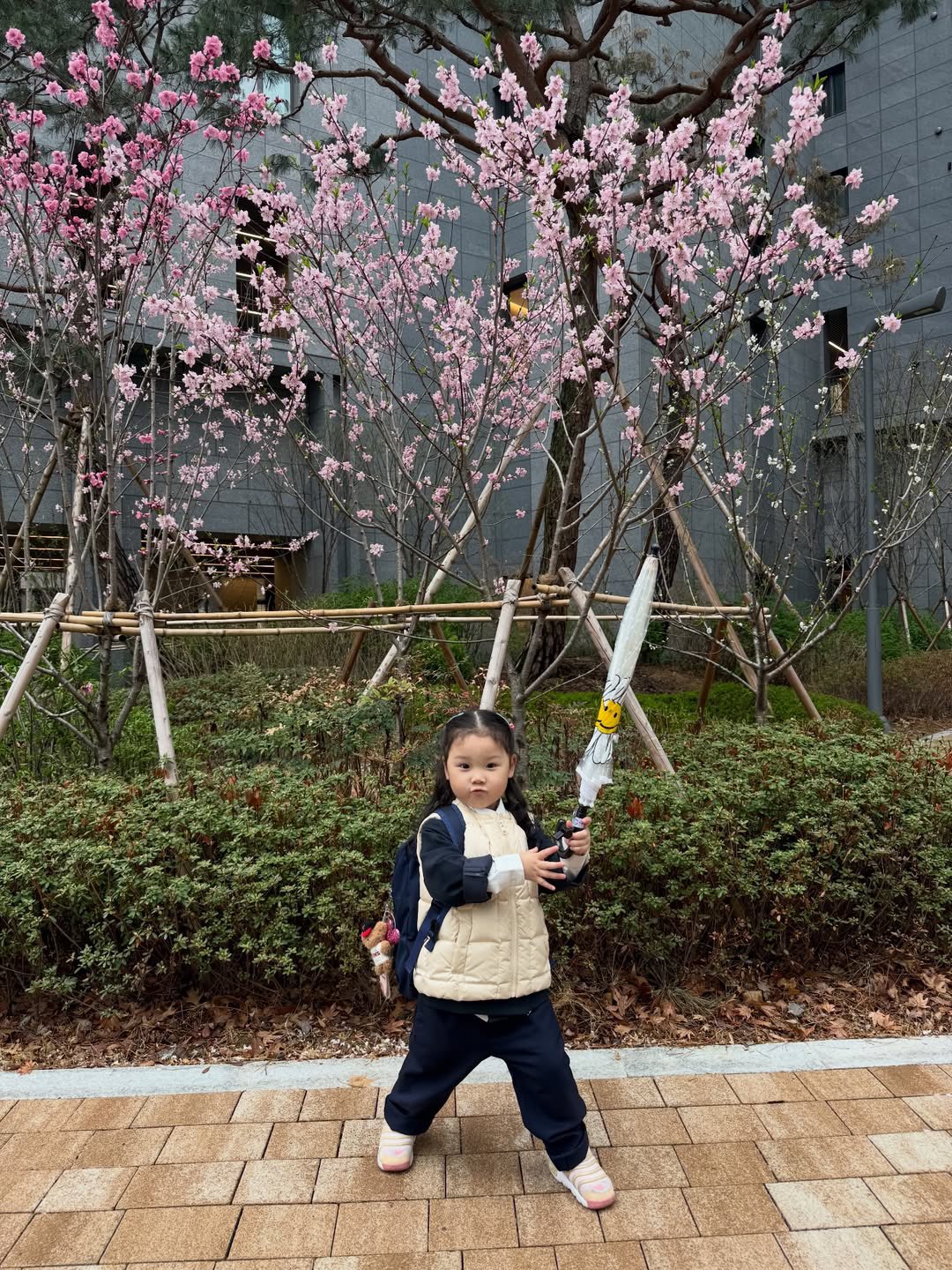 [잡담] 이 사진 채이 왤케 용맹한 아기말티즈 같지 | 인스티즈