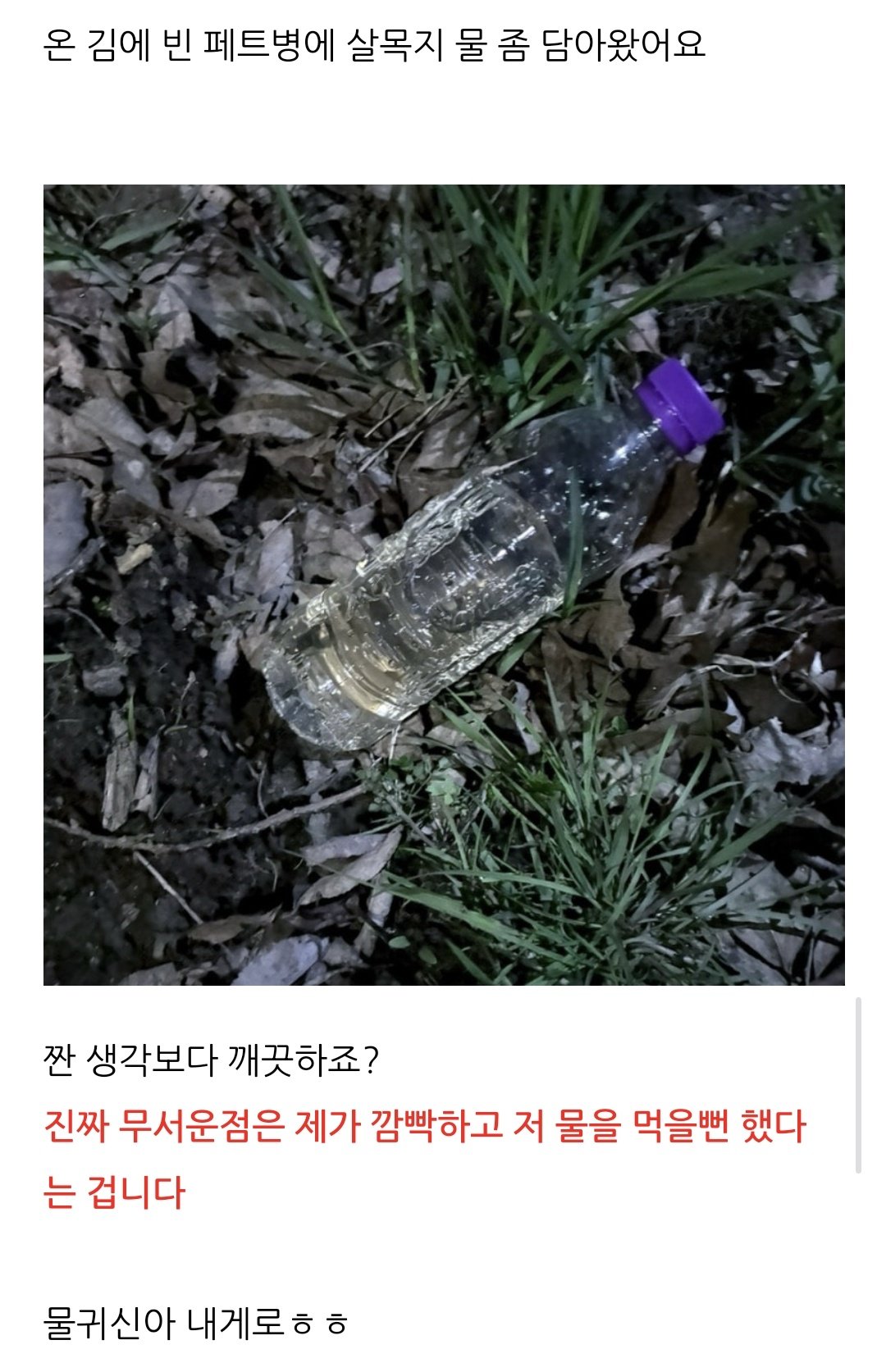 [잡담] 살목지 갔다온 사람 후기 보는데 해맑음에 귀신 질식하겠다 | 인스티즈